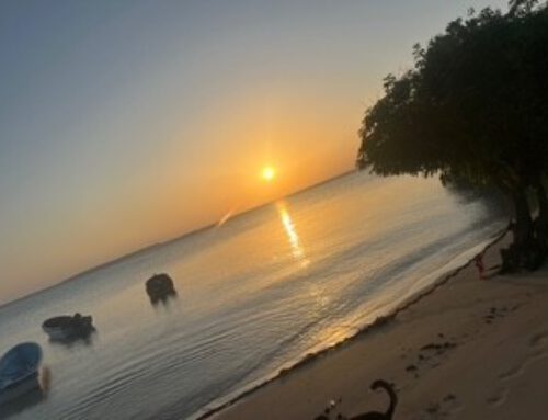 Halbzeit- Austausch und Pause beim Zwischenseminar